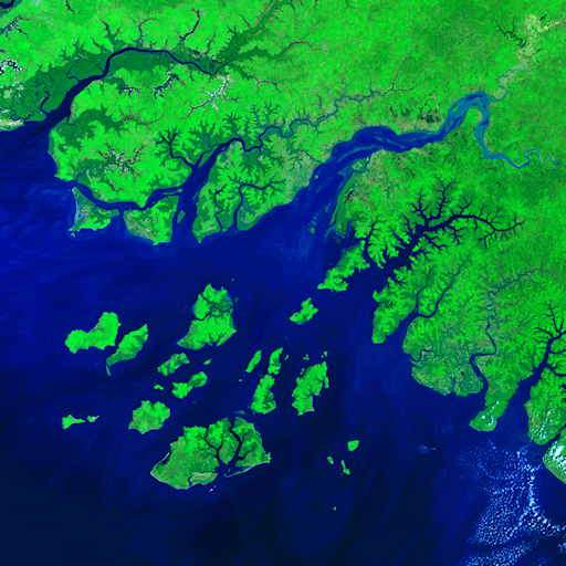 A false colour satellite image of a coastal region, luminous green vegetation constrasts against bright blue rivers and the ocean