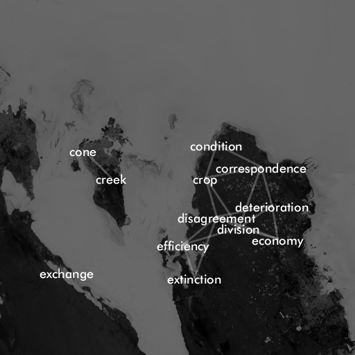 A grayscale satellite image of a desert coastal peninsula and its surrounding islands, with words overlaid. A few of the words are: 'condition', 'exchange', 'division', 'efficiency'